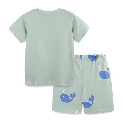 Summer Baby Kids Cartoon Animals Pattern T-shirt and Shorts Color Patchwork Clothing Set for Boys-2